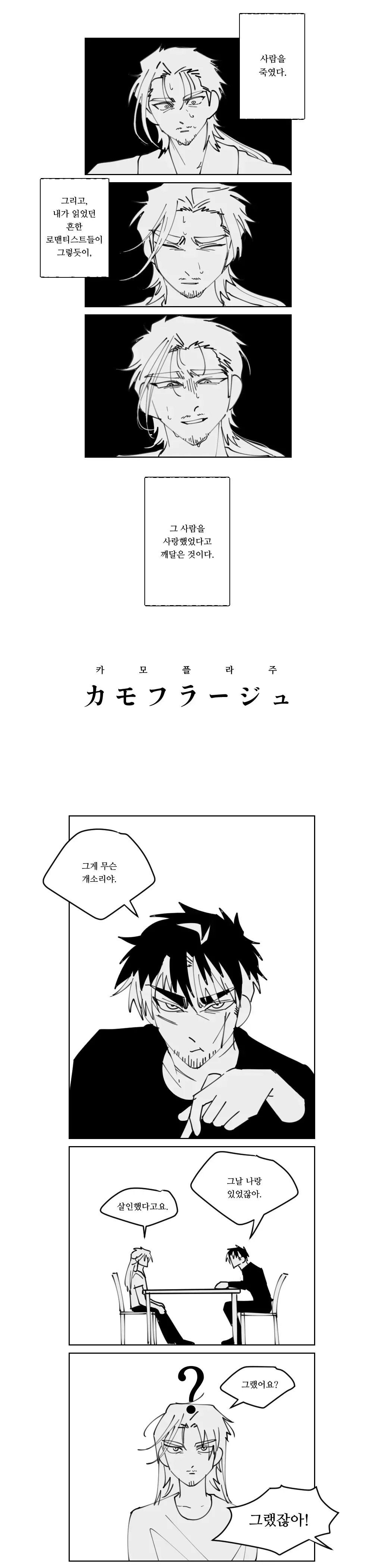 카모플라주